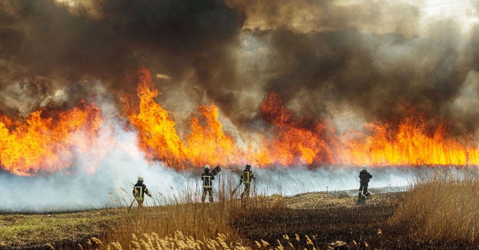 bomberos forestales