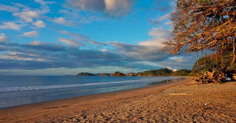 Tamarindo ocupación hotelera