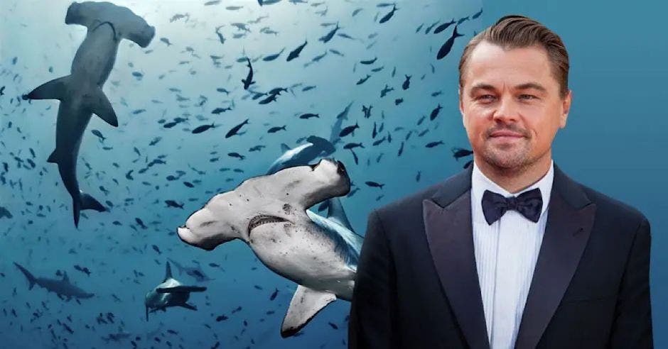 El reconocido actor Leonardo DiCaprio celebró en su cuenta de Twitter la decisión del gobierno de Costa Rica de ampliar el territorio marino de la Isla del Coco. Archivo/La República