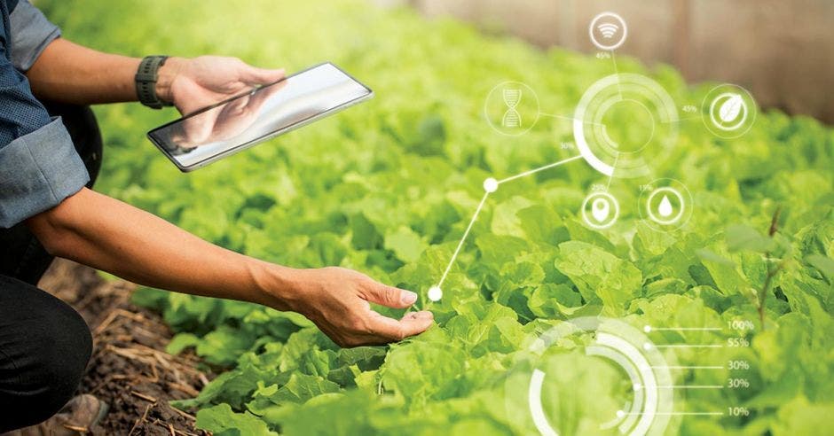agricultor usando tecnología en el campo