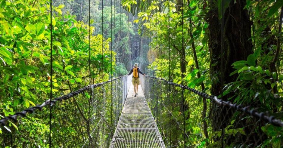 Puente colgante Costa Rica