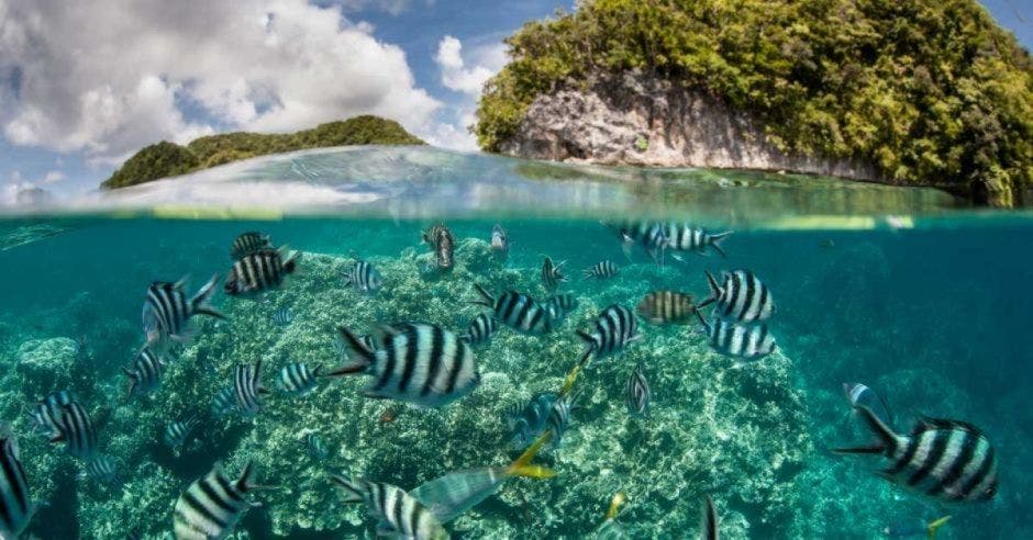 turismo protección océanos