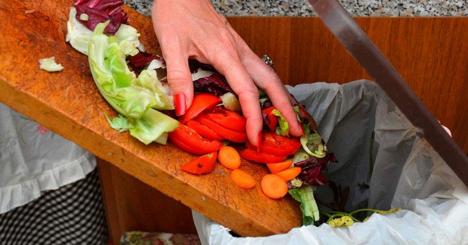 desperdicio de alimentos