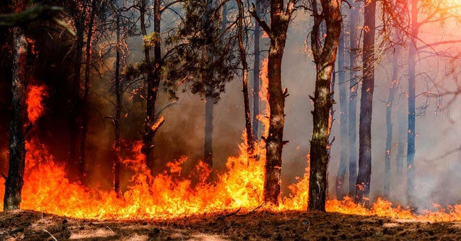 incendios forestales Costa Rica