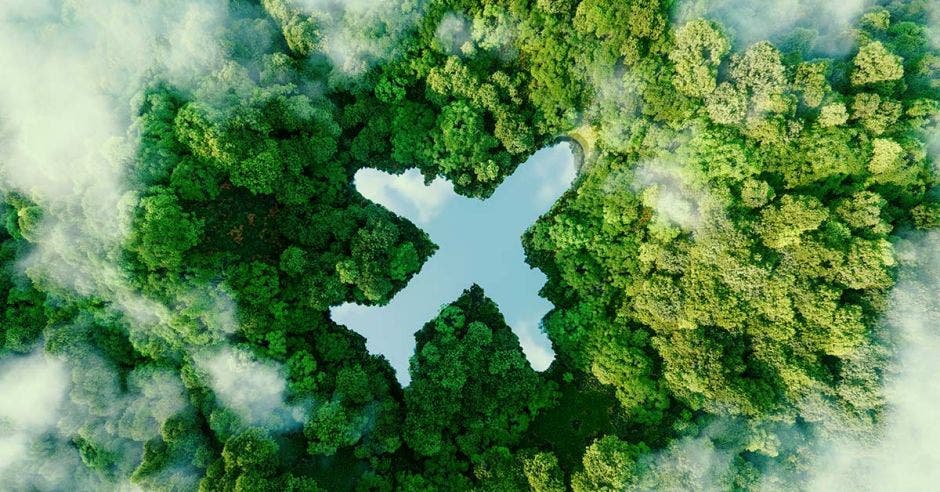 emisiones carbono vuelos