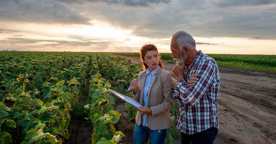 Agroinformese, estudio, mujeres