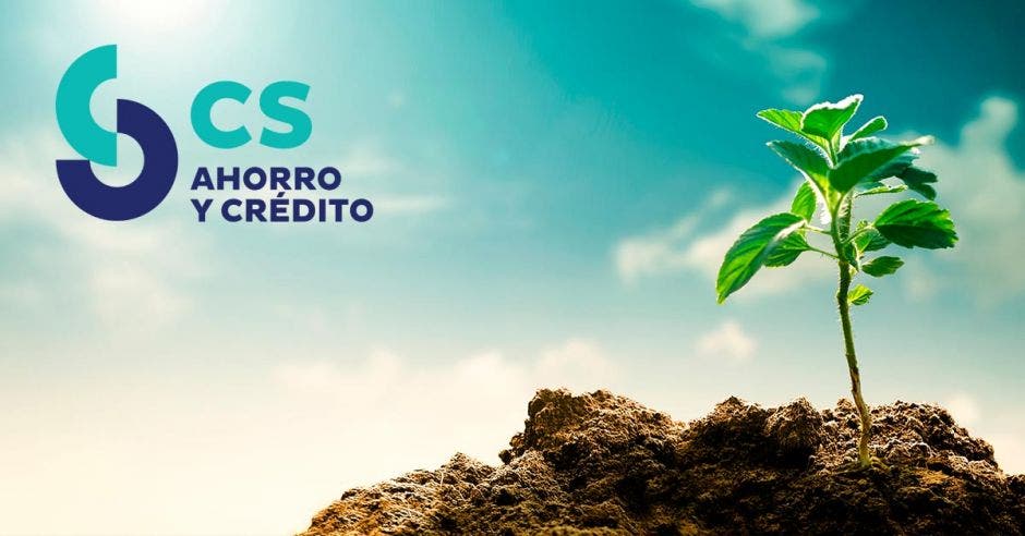 Coopeservidores, planta, ambiente