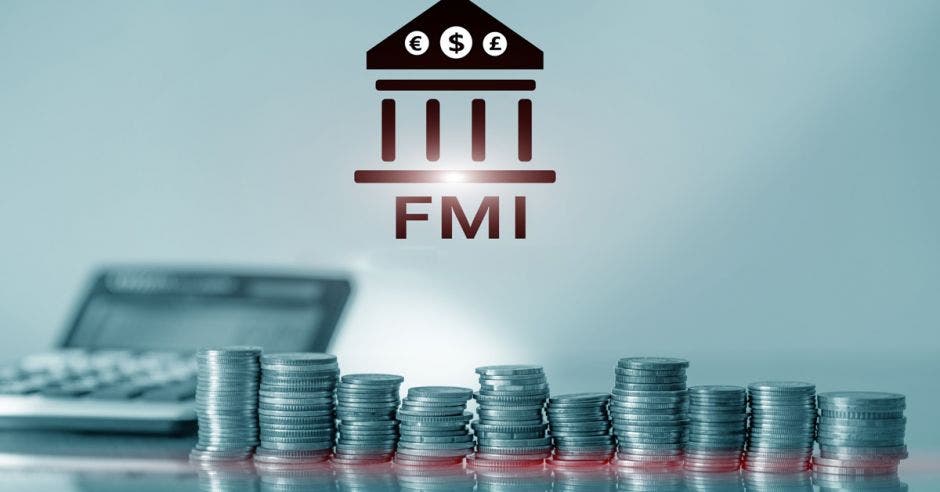 FMI, dinero