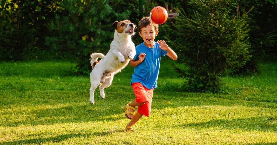 Niño con mascota