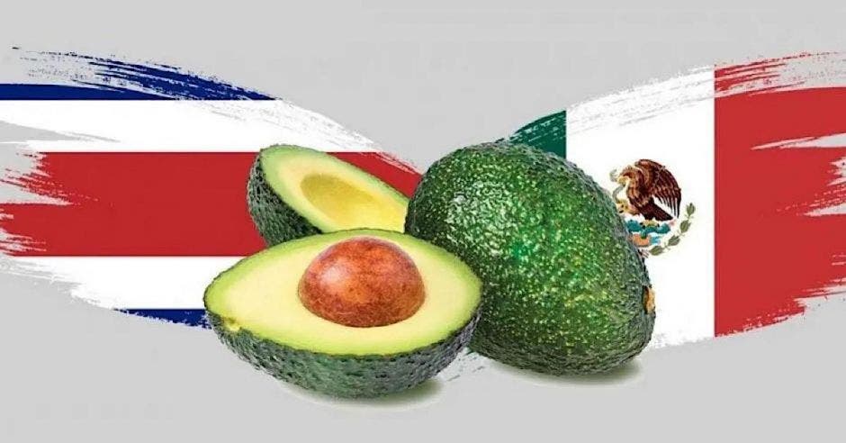 Aguacate