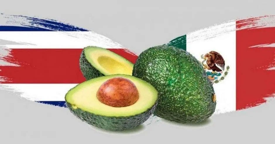 aguacate mexicano