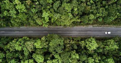 vehículo emisión de gases conservación naturaleza