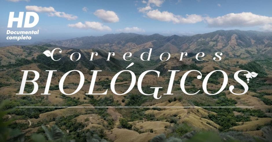 Corredores biológicos