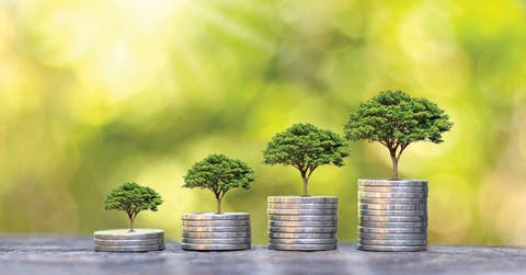 desarrollo, economia, ambiente, sostenible