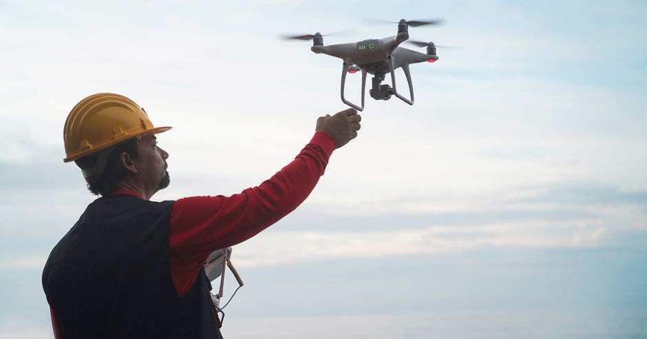 drones plantaciones forestales