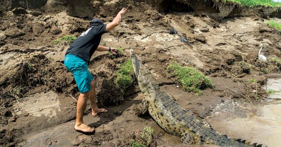 tour operadores cocodrilos Tárcoles