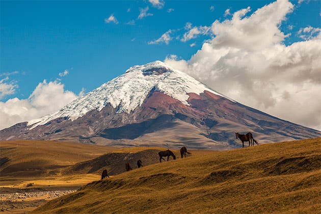 volcan