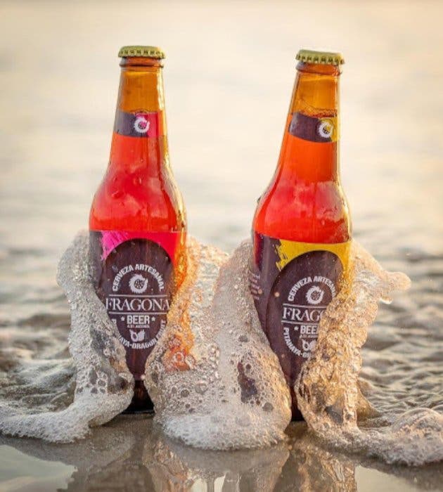 cerveza