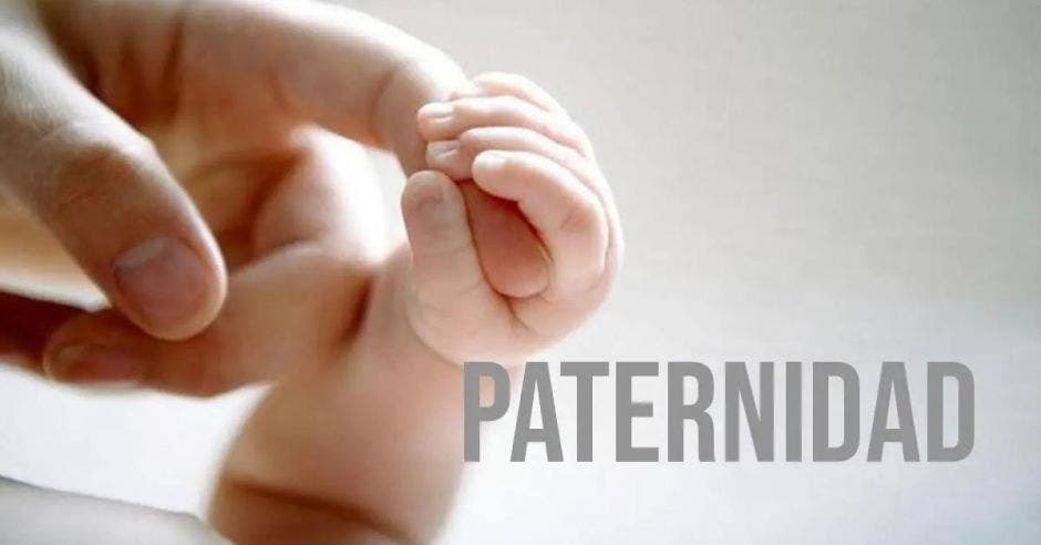 licencia de paternidad