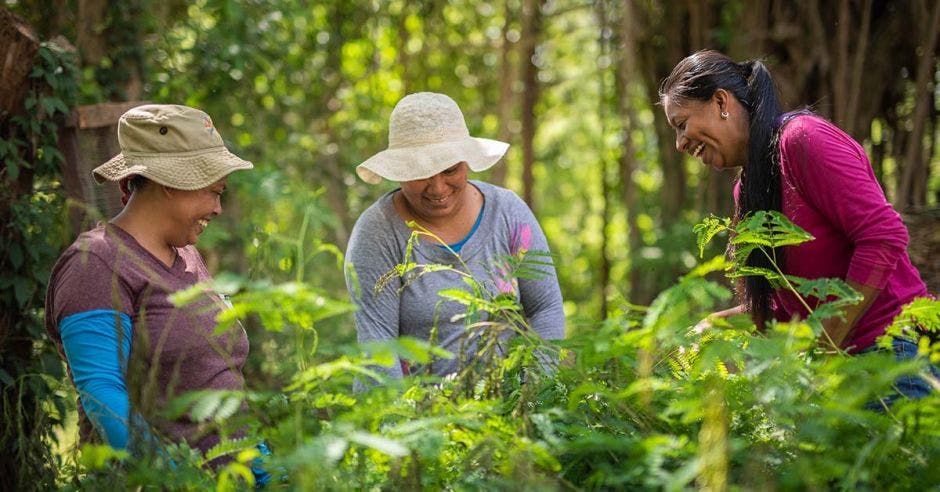 Mujeres agricolas