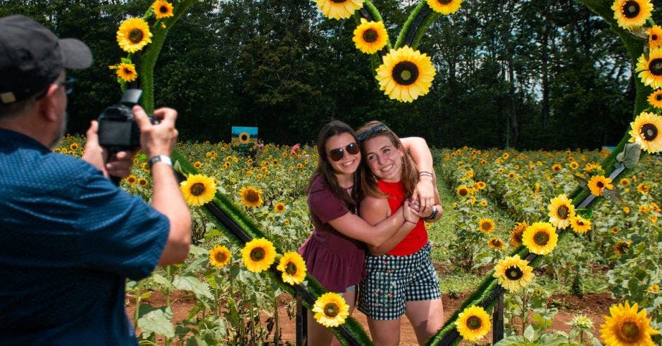 GIRASOLES Costa Rica