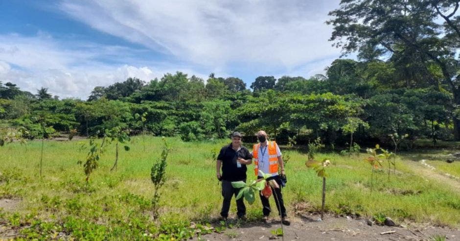 bosque y voluntarios