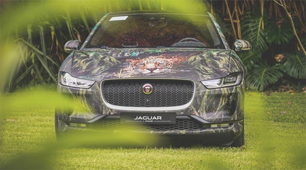 jaguar