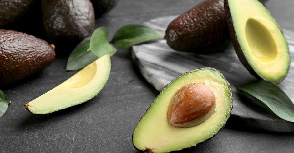 aguacate productores nacionales