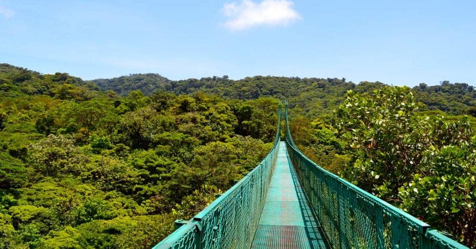 Monteverde, Costa Rica