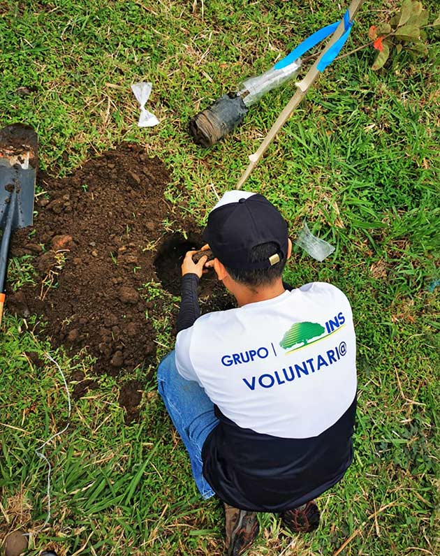 Voluntario INS