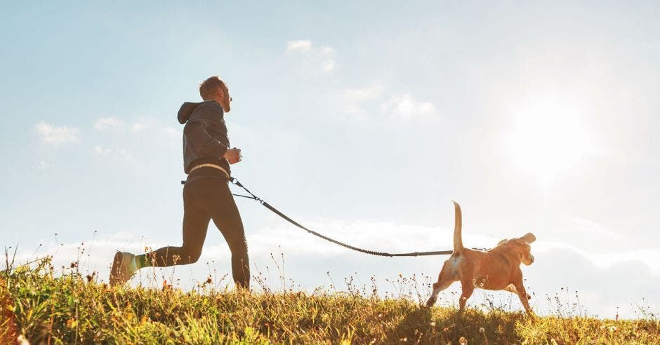 perros carrera