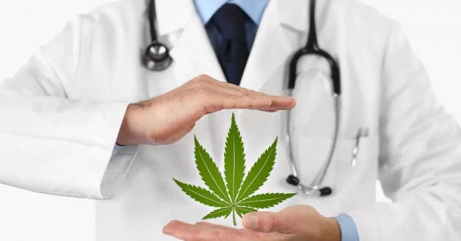 cannabis marihuana proyecto de ley colegio de médicos