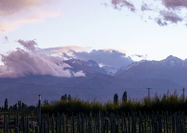 Mendoza