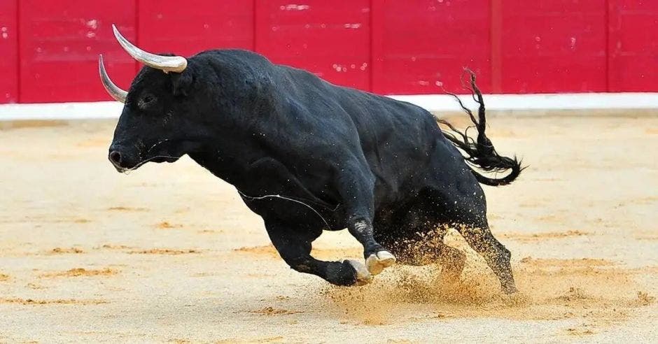 Corridas de toros