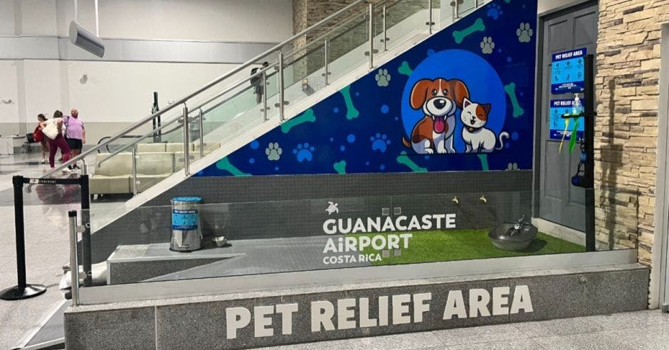 mascotas aeropuerto