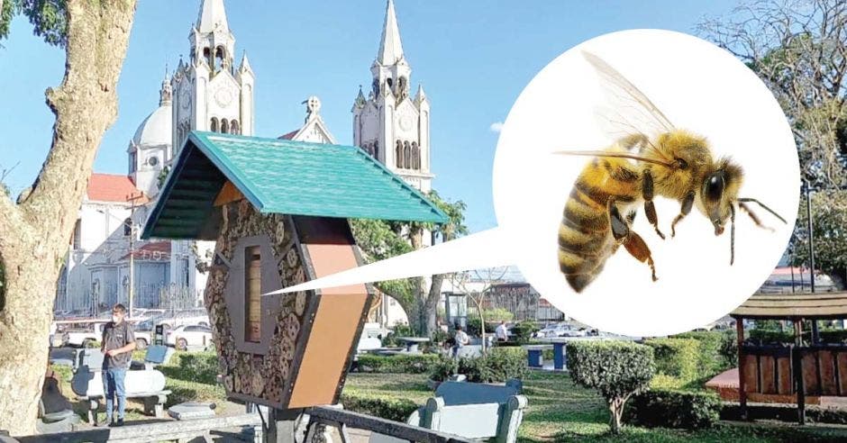 hoteles de abejas