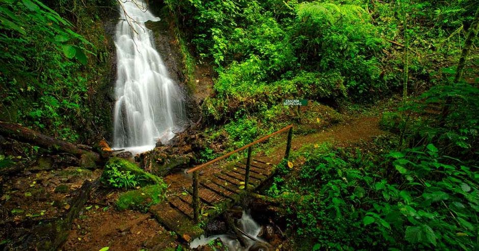 Parque Nacional Tapantí