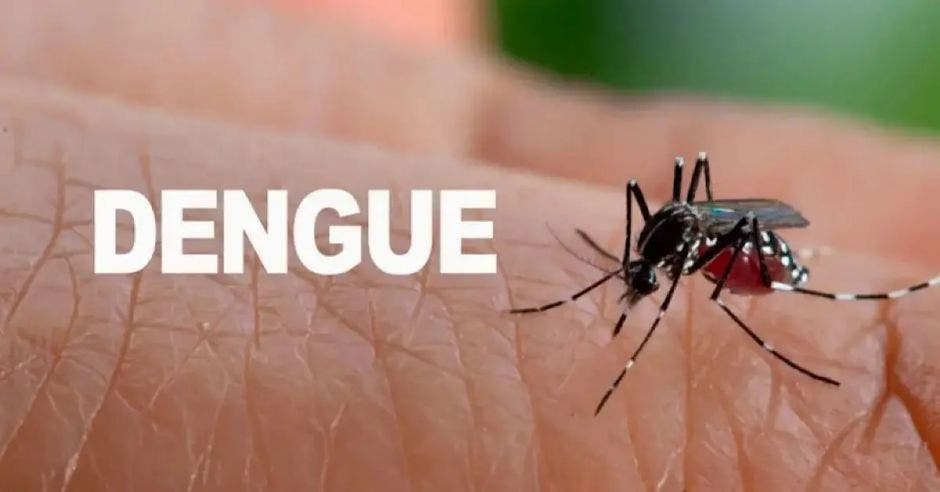 dengue, fumigación, Ministerio de Salud, Pavas