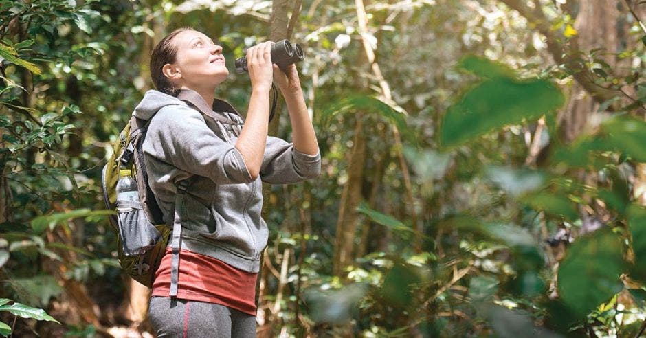 turismo de observación de aves