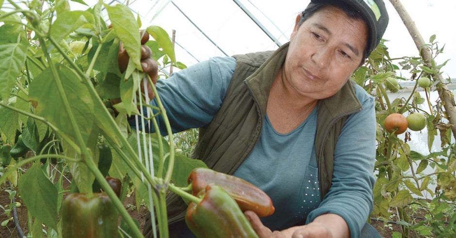 mujer cambio climático