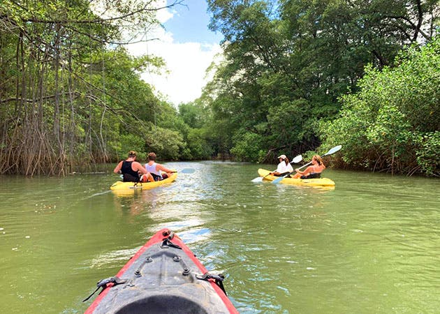 Kayak