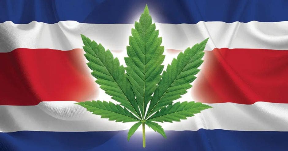 Cannabis Costa Rica