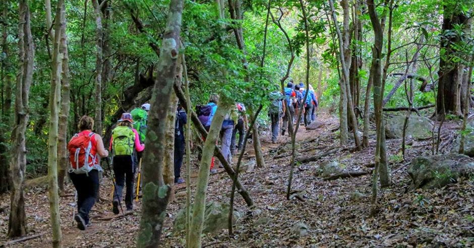 sábado volvió abrir parque nacional tapantí cartago ocho meses cierre daños causados infraestructura natural caminos acceso fuertes lluvias azotaron país agosto año pasado