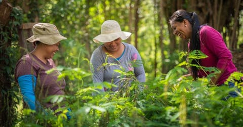 mujeres agricultura