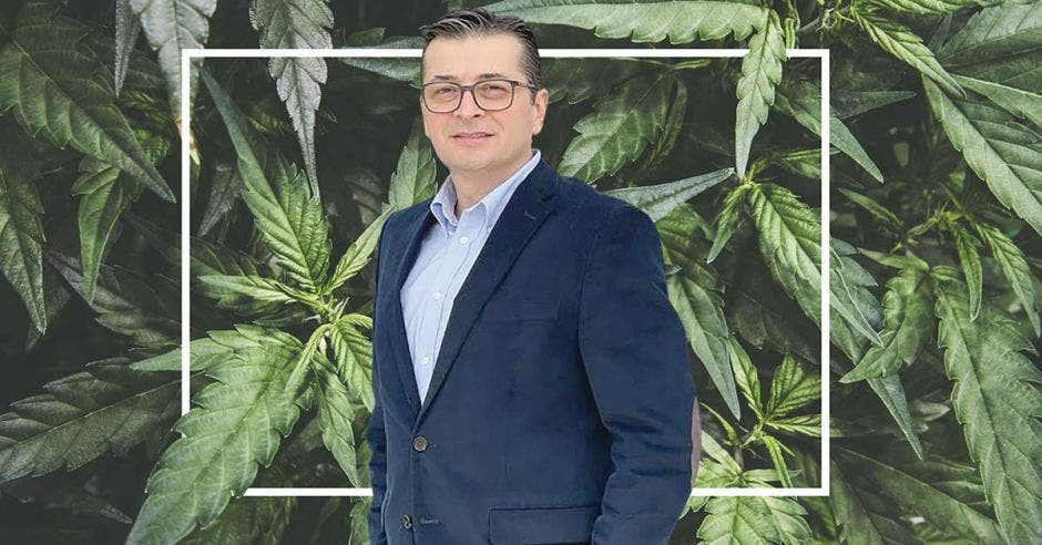 Roy Thompson, presidente de HCANN (Consejo de Cáñamo y Cannabis de Costa Rica).