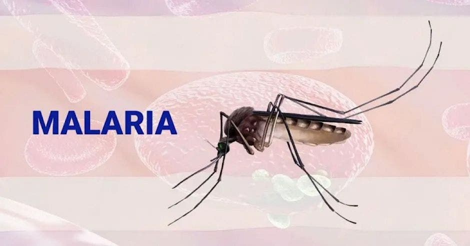 Malaria