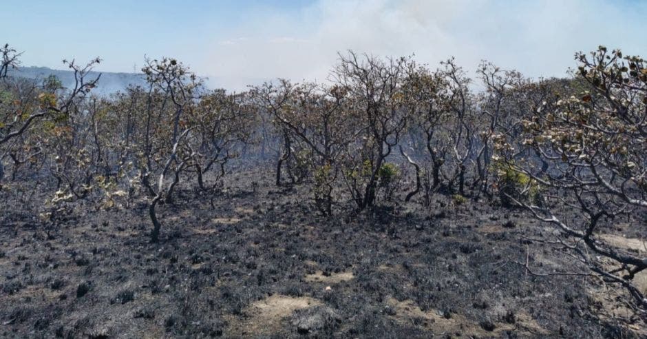 incendios forestales