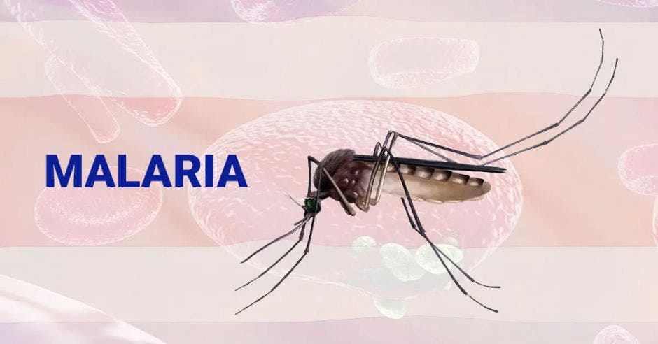 malaria,Los Chiles, tratamiento, salud, prevención