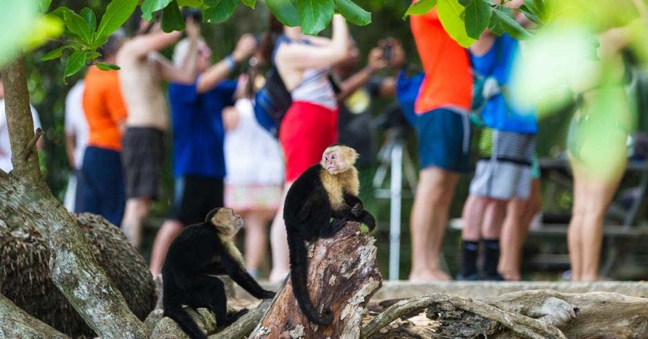 Parque Nacional Manuel Antonio