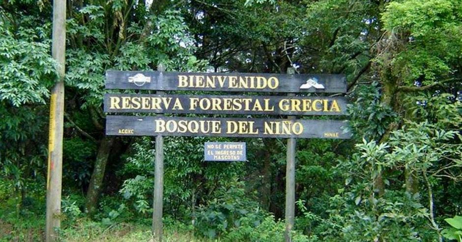 Reserva Forestal